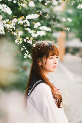 赴山海电视剧免费观看完整版